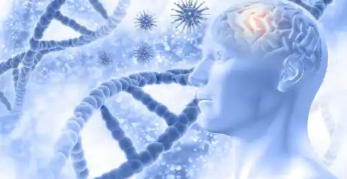 What Makes Pregnenolone Powder Different from Other Prohormones?